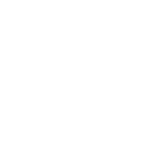 LinkedIn icon